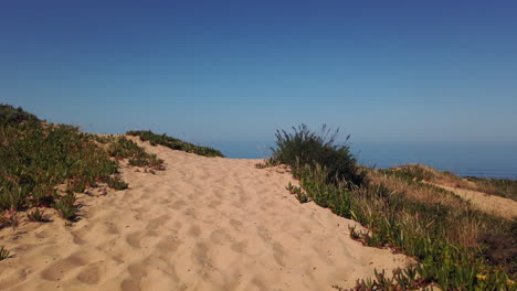 sand path to the beach