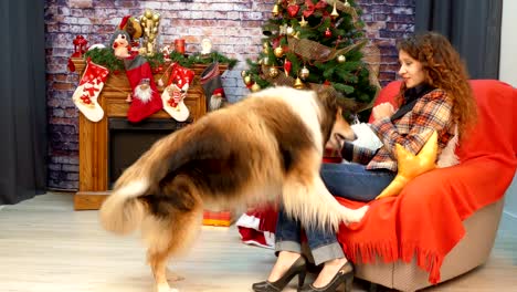 girl with a dog playing near a christmas tree