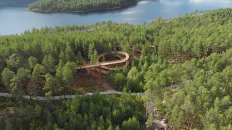 dense pine trees over forest lakeside on hamaren activity park in fyresdal, telemark norway