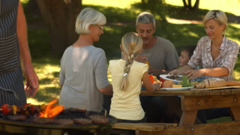 Happy-family-having-barbecue-in-the-park