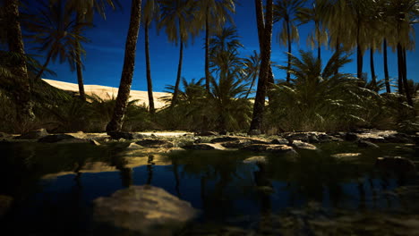 serene oasis surrounded by palm trees under the night sky