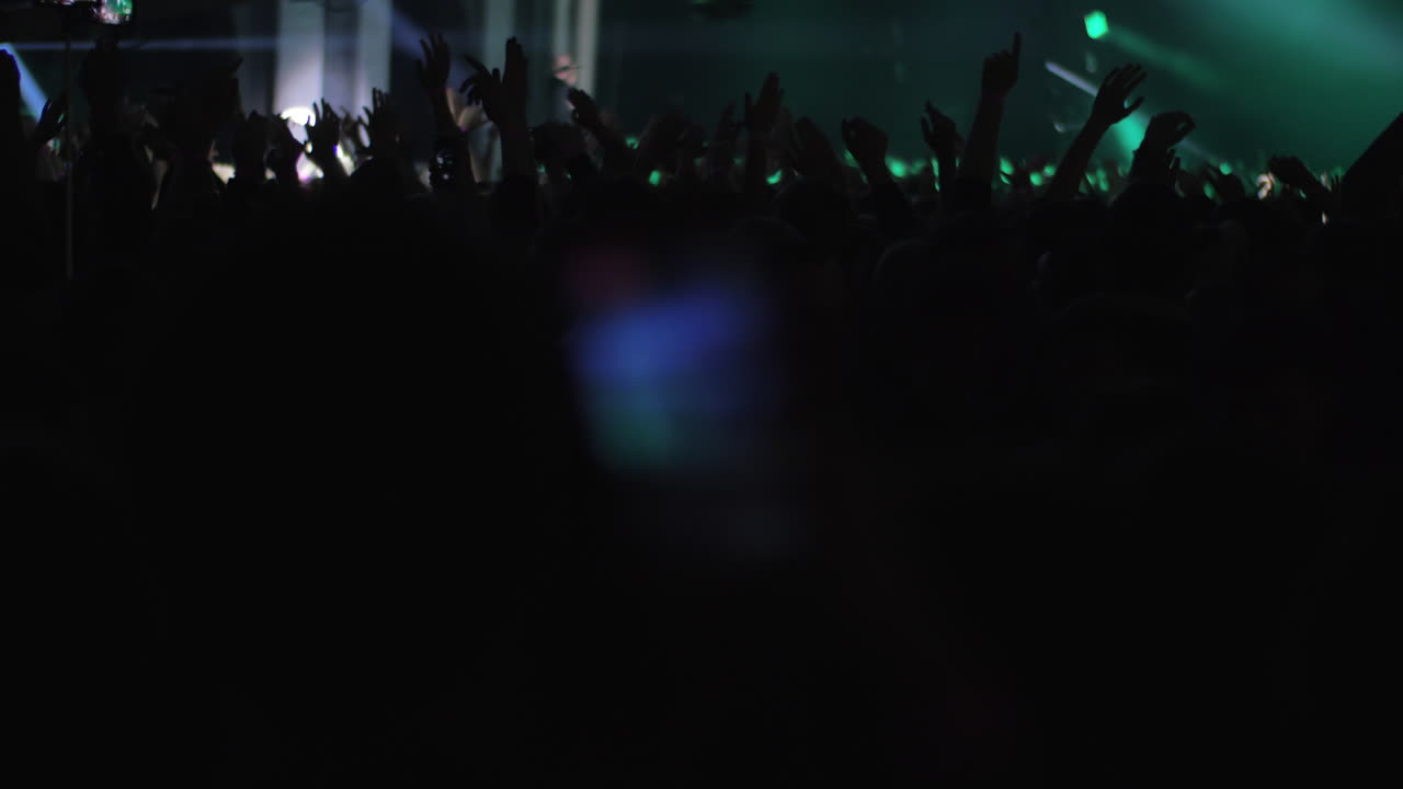 Fan di musica che ballano al concerto del cantante preferito