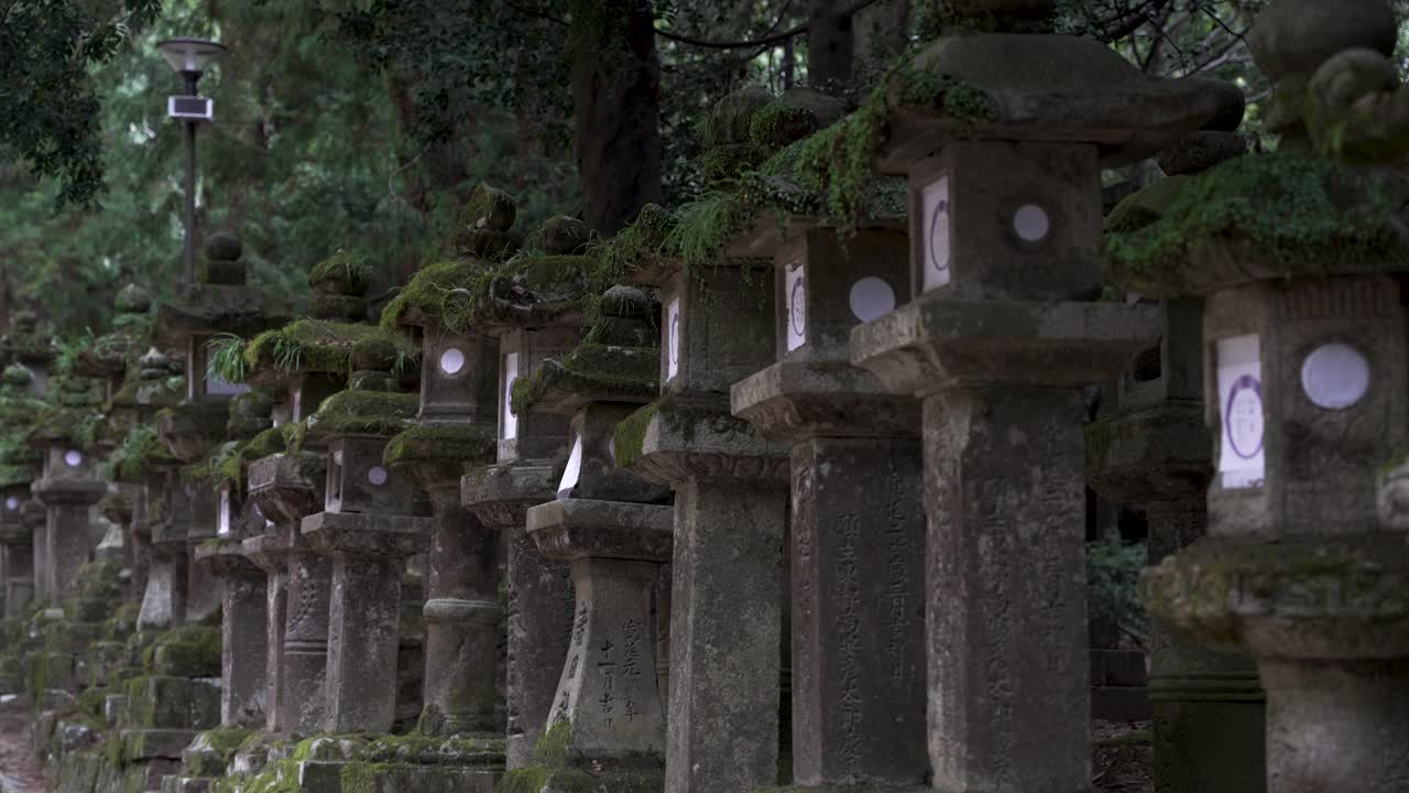 fila de linternas de piedra cubiertas de musgo del santuario de kasugataisha en el parque público de nara