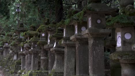 row of moss covered stone lanterns of kasugataisha shrine in nara public park