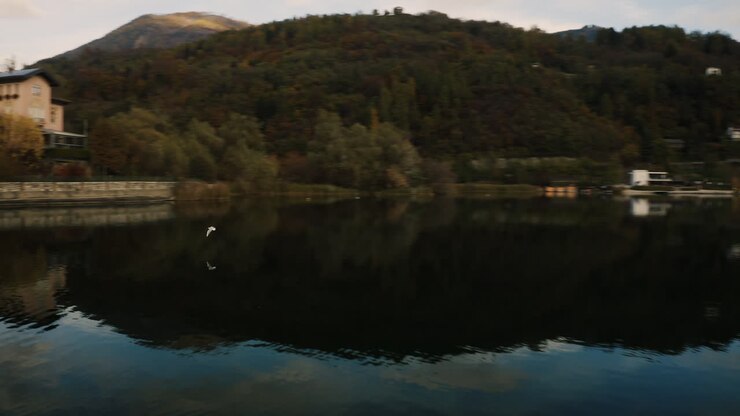 Drone che segue un uccello mentre si bagna e vola al lago di Caldonazzo