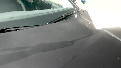 rinsing bird poop from car
