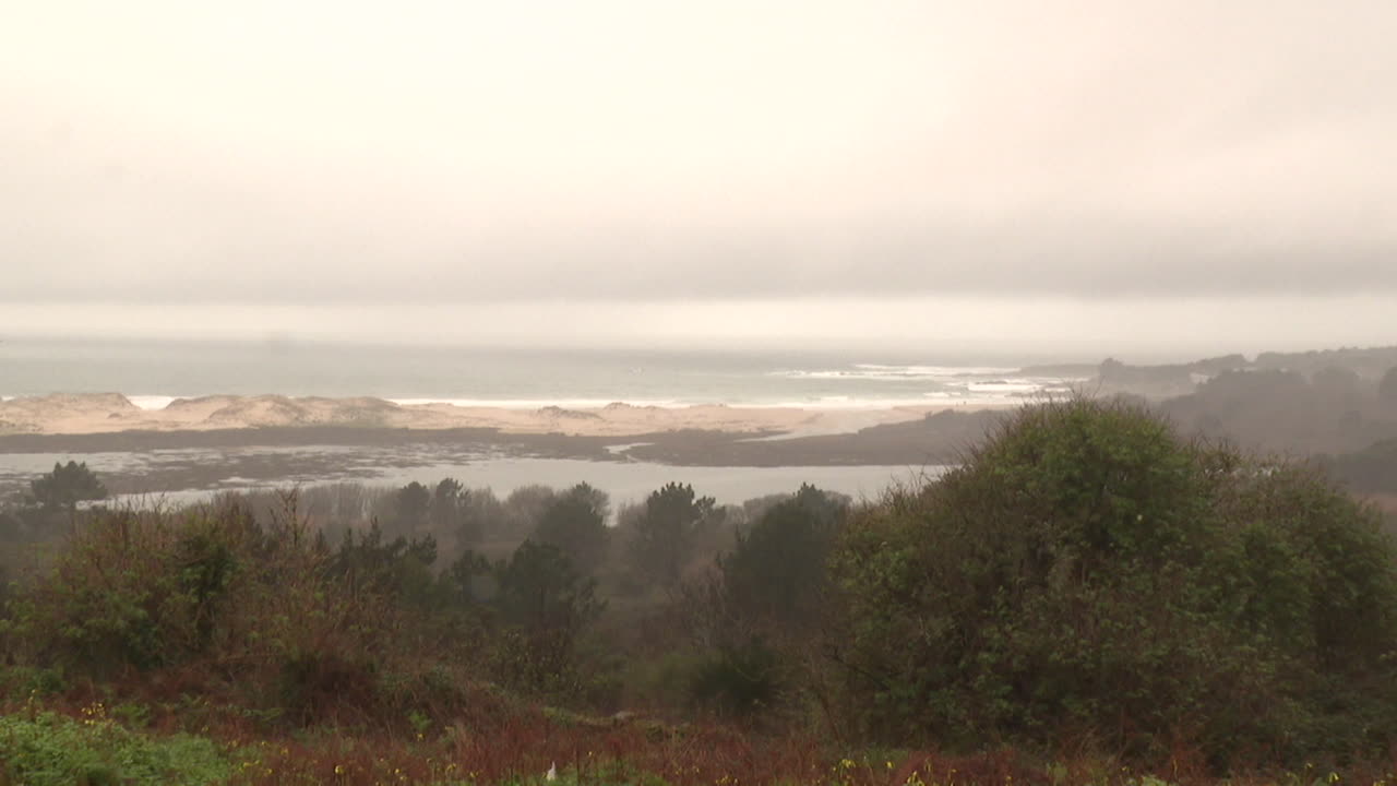 Misty Coastal Landscape with Dunes and Wetlands
