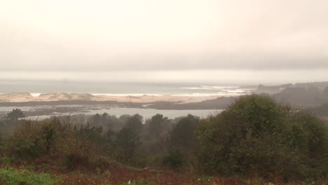 misty coastal landscape with dunes and wetlands