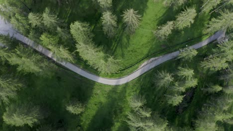 Antena-De-Arriba-Hacia-Abajo-De-Un-Ciclista-En-Bicicleta-A-Través-De-Una-Zona-Verde-De-árboles-En-Un-Hermoso-Camino-En-Italia