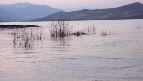 skipping stones across water is called ducks and drakes is throw flat stone on lake surface for fun travel across water before sink named in japan mizu kiri sport root in england winners in tournament