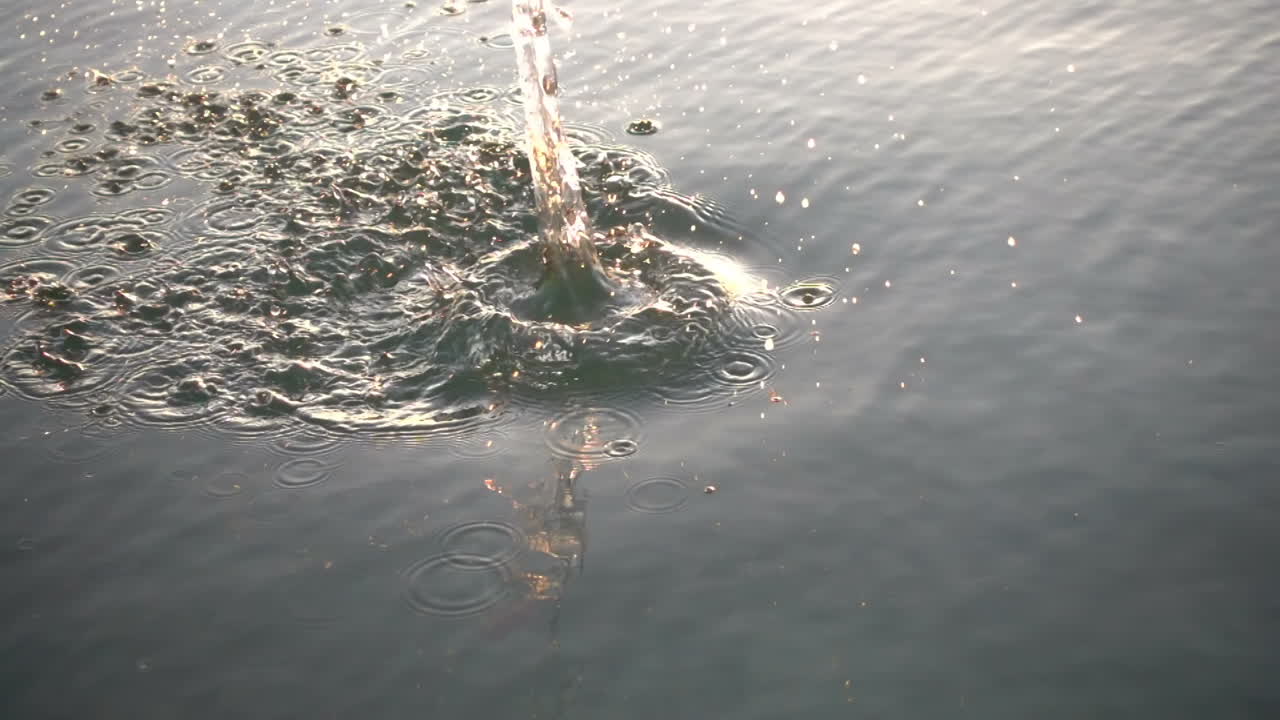 Seagulls fly over the sea. Slow Motion