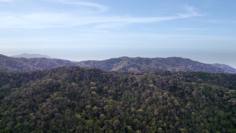 A-drone-shot-of-green-mountain-in-Penang-National-Park-in-the-day-time