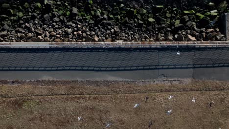 An-aerial-view-of-an-serene-park-by-Gravesend-Bay-at-low-tide-in-Brooklyn,-New-York-on-a-sunny-day