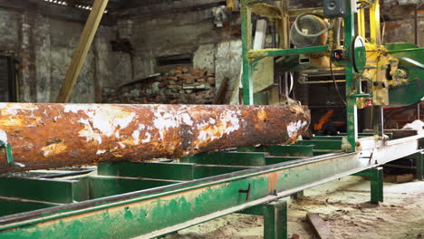 freshly cut log ready to be transferred into planks in local sawmill, pan left view