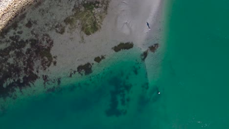 vista de dron de la costa de la laguna de carlsbad