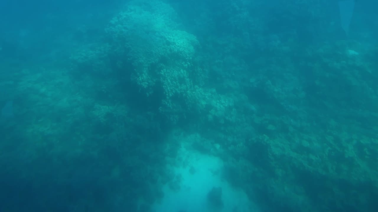 una vista de arrecifes de coral bajo el mar, tiro de cerca