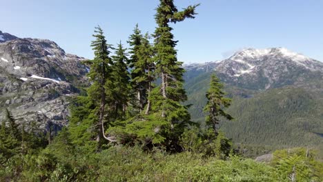 vistas a la montaña alpina en la isla de vancouver