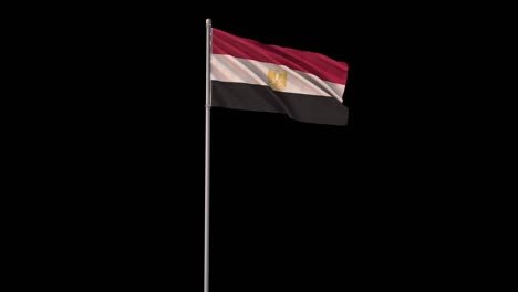 egypt flag with alpha channel