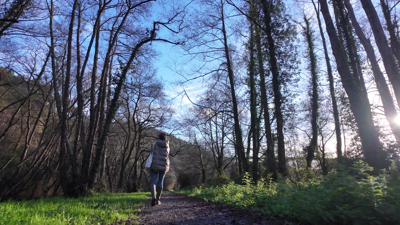 Woman walking forest path winter sunlight nature lifestyle outdoor exploration