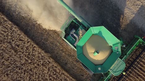 A-Midwest-farmer-harvesting-a-soybean-field-with-a-combine,-tractor,-and-auger-wagon