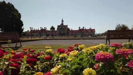 Schöne-Blumen-Mit-Rotorua-Museum-Im-Hintergrund,-Zeitlupe