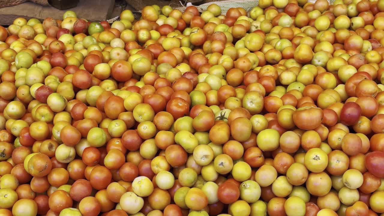 채소 시장, 농부 시장, 사비 만디에서 판매되는 토마토의 거대한 어리