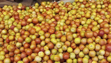 una enorme pila de tomates para la venta en el mercado de verduras, mercado de agricultores, sabzi mandi