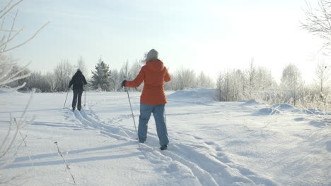 two people cross-country skiing in a snowy forest