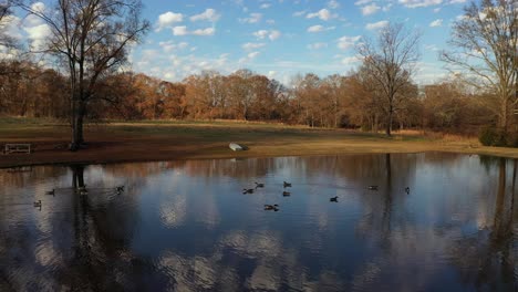 reflection off a pond with canadian geese and a boat near a field in south georgia