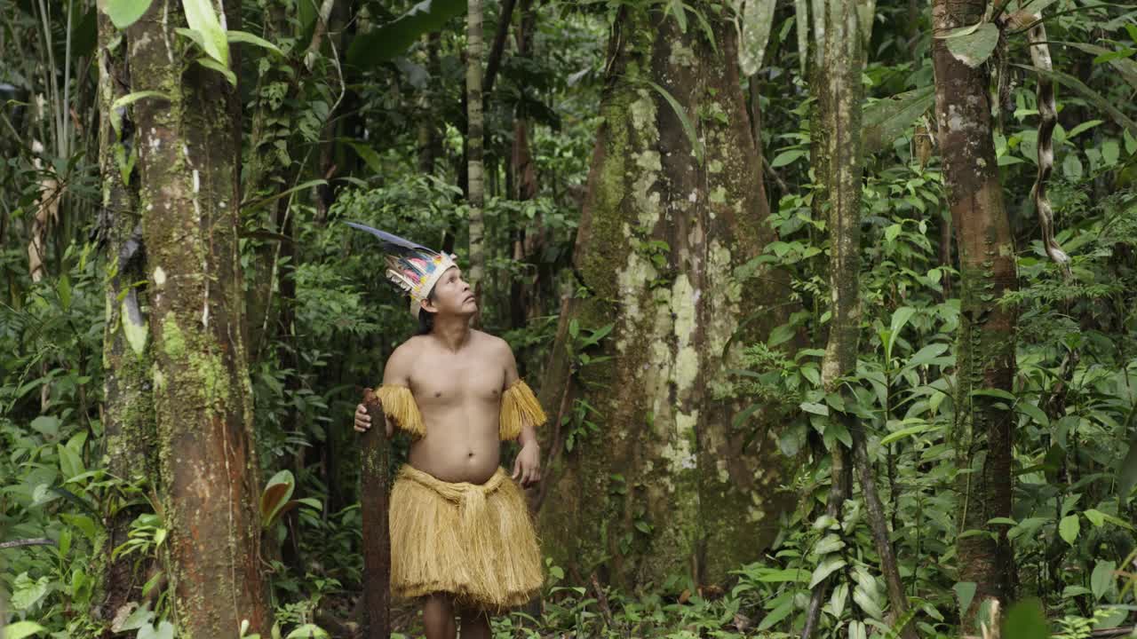 retrato de un hombre indígena con un sombrero de plumas y una camisa con flecos camina en el denso bosque de leticia, amazonas, colombia