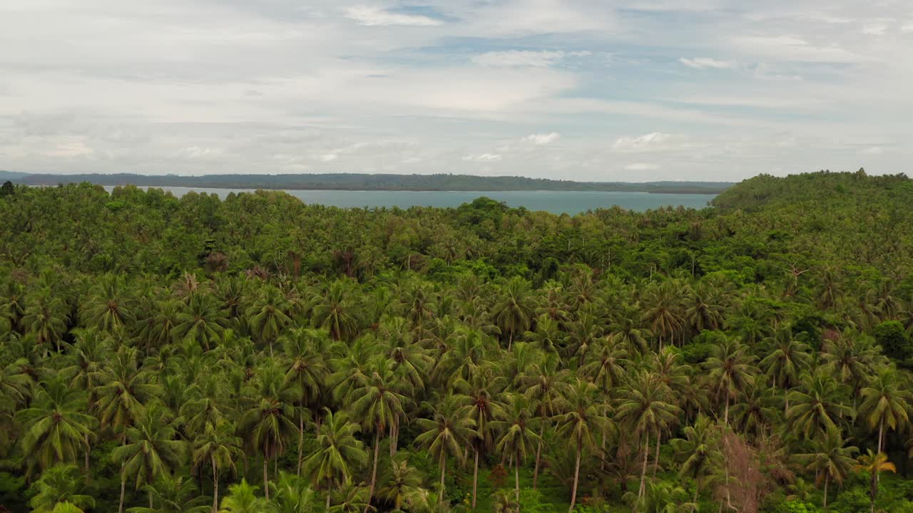 Discovery in Mentawai Indonesia Asia