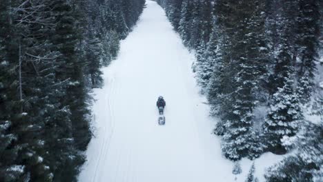 Drone-shot-of-snowmobile-revealing-snowy-forest