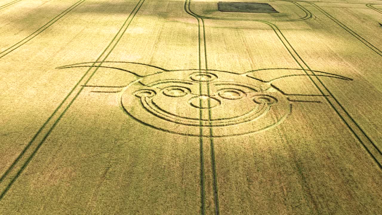 Vista aerea di un cerchio nel grano dorato a forma di giullare, che mostra i campi agricoli di Stonehenge.
