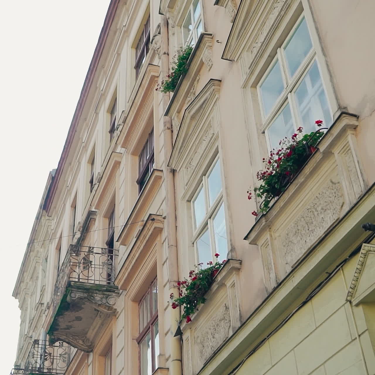 Architectural buildings with flowers on windows in the european city Lviv. Wonderful cityscape of ancient town at day. Motion camera top down.