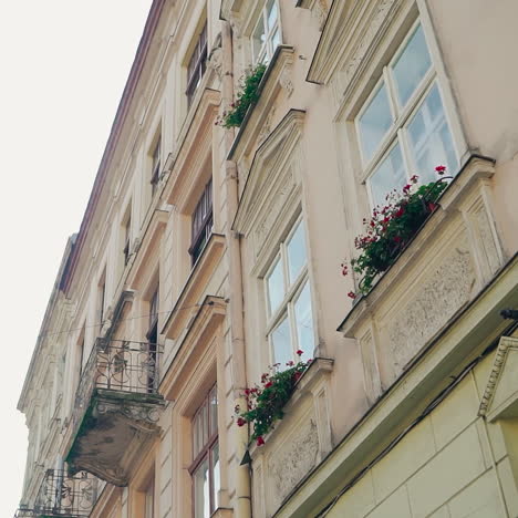 architectural buildings with flowers on windows in the european city lviv. wonderful cityscape of ancient town at day. motion camera top down.