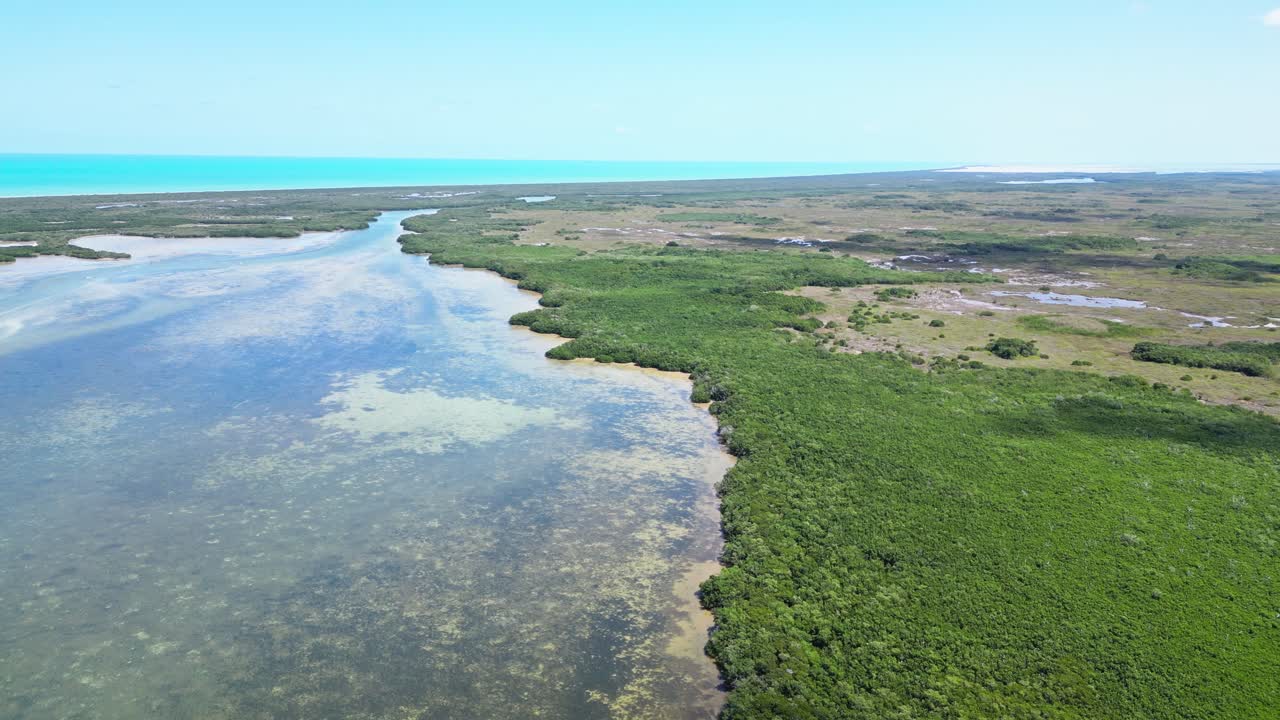 Lush green mangroves and clear blue waters in Rio Lagartos, Yucatán, Mexico, aerial view