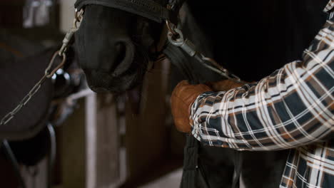 mann mit pferd im stall in nahaufnahme