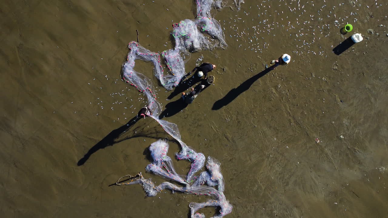 los pescadores locales en la playa sacuden los peces de la red blanca, los recogen