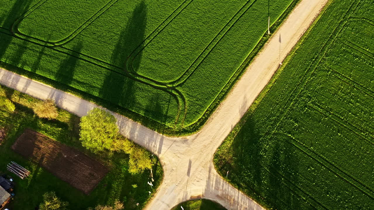 Golden hour drone view of rural intersection with crop fields and long shadows