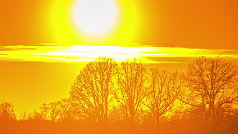 bright golden sunset in the winter countryside - time lapse of a bright, fiery sun behind leafless trees