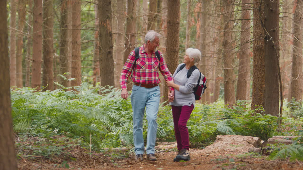 una amable pareja de ancianos jubilados tomados de la mano caminando juntos por el campo del bosque