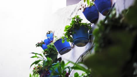 scenic shot of blue flower pots hanging on balcony of traditional white village