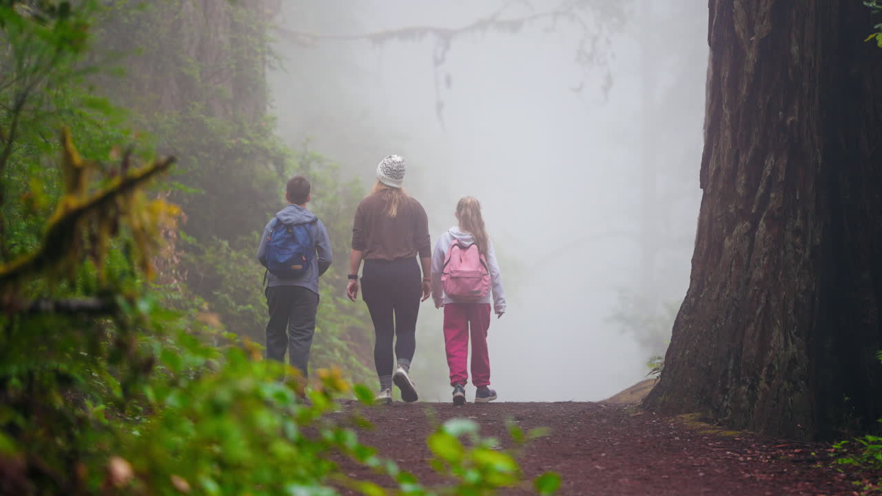 Exploring tall trees together a mother and children on a forest adventure