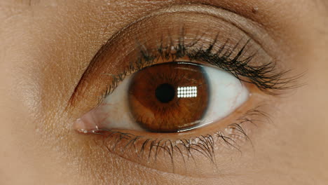 close-up-macro-brown-eye-opening-blinking-natural-human-beauty-healthy-eyesight-concept