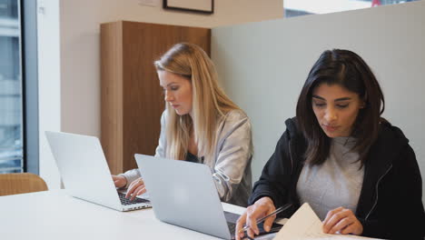 two young businesswomen with laptops working side by side in modern open plan workspace