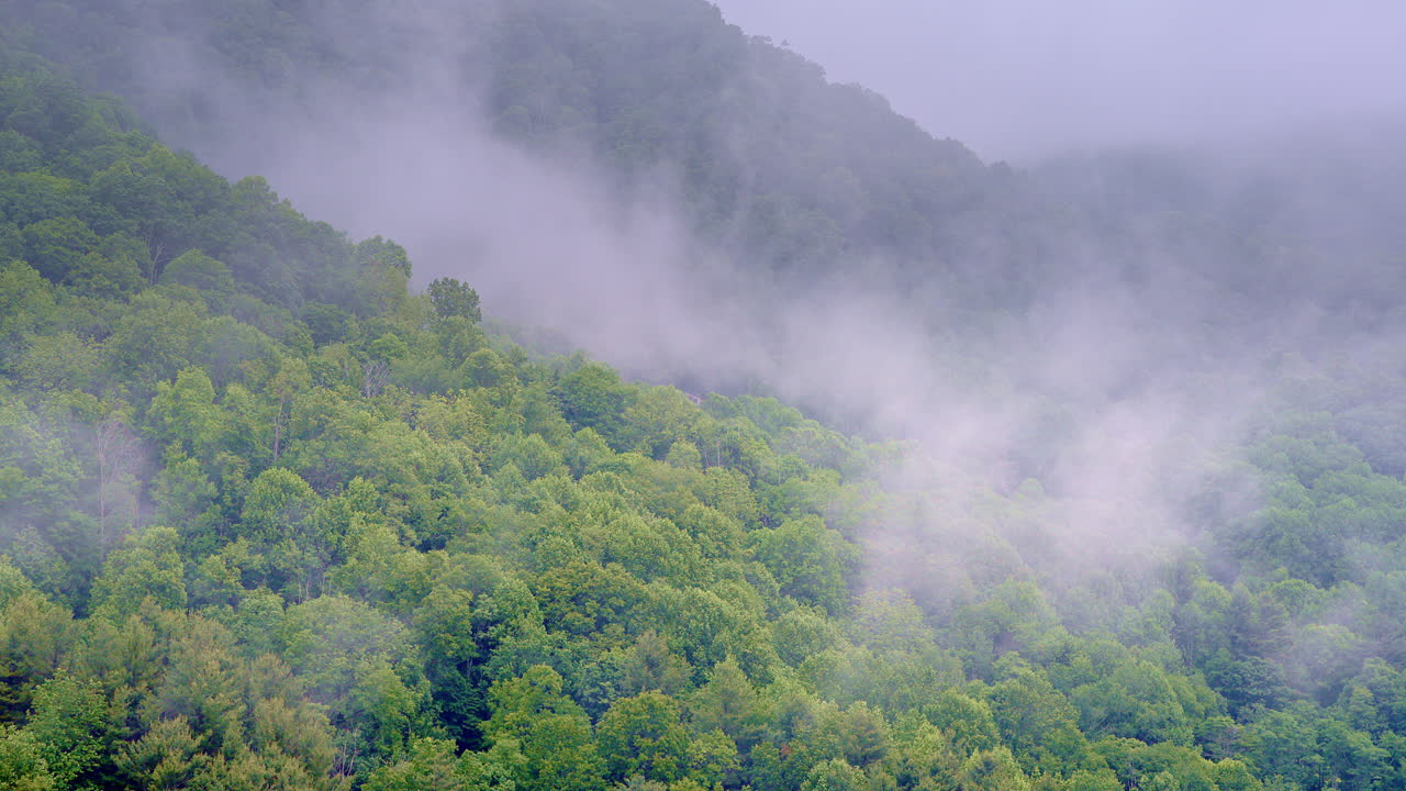 Aerial footage sliding across a tranquil, mist-rich valley at dawn