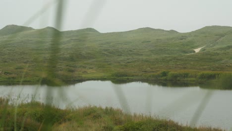 danish landscape on west coast at overcast, moody day