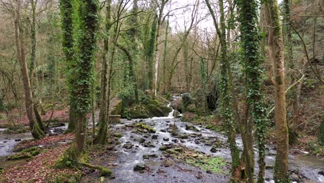 Beautiful-drone-shot-of-a-waterfall-in-a-forest-in-Normandie