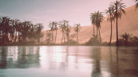 peaceful desert oasis with palm trees and still water