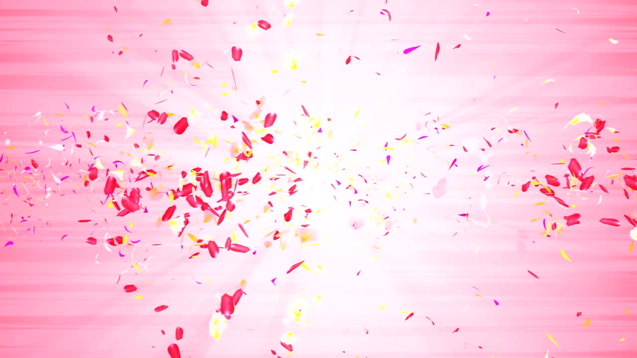 화려한 잎자루, 나선형 반이는 꽃잎, 꽃 모양, 예쁜 춤추는 꽃잎, 회전하는 꽃잎에서 소용돌이, 추상적인 루프 애니메이션.